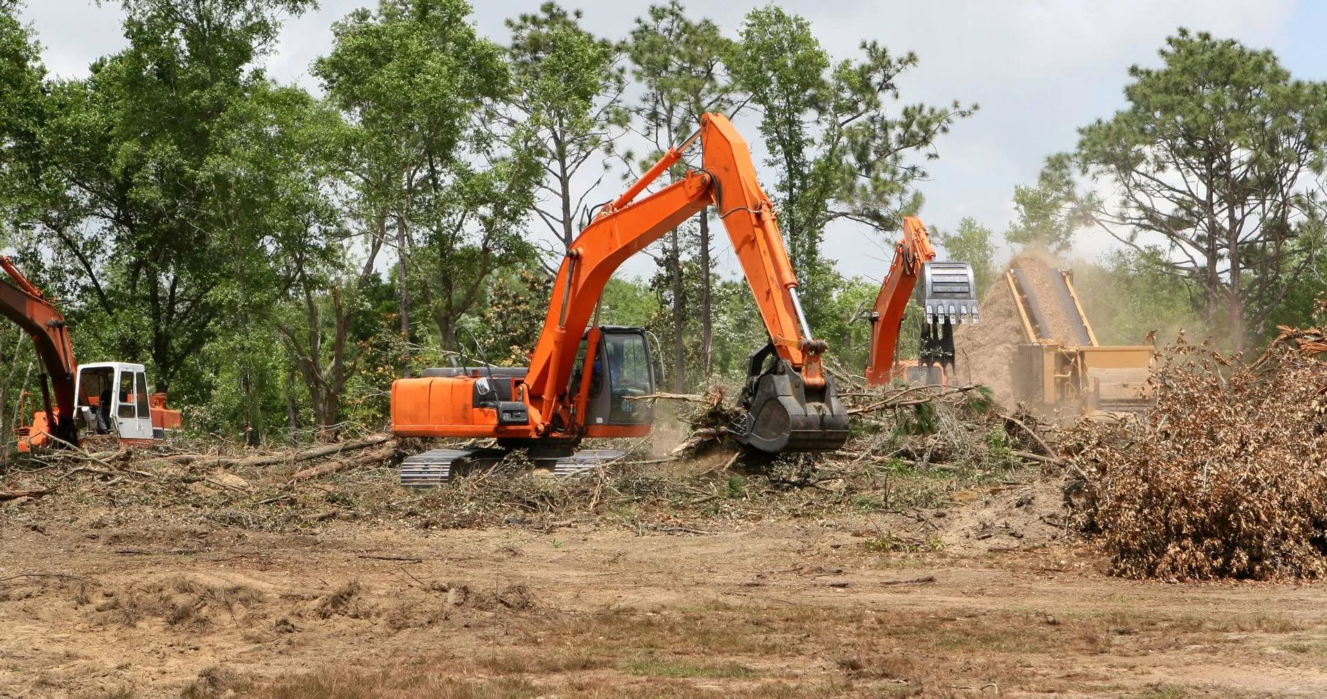 Orange excavators clearing land, surrounded by trees and debris.
