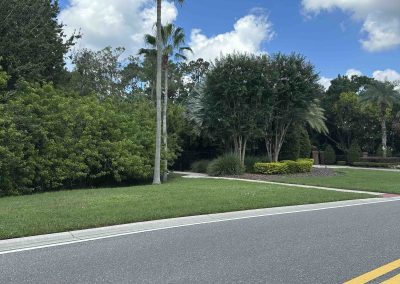 Street view with palm trees, blue sky, and clouds, seen from a car's passenger side mirror.