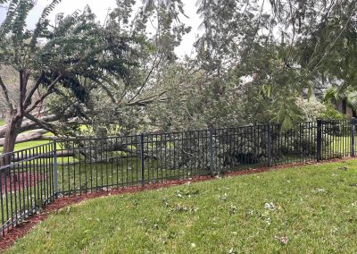 A fallen tree lies across a black metal fence on a grassy lawn, with branches and leaves scattered around.