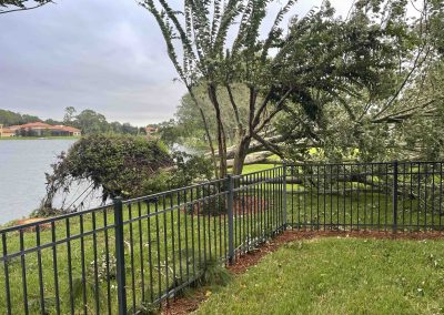 A fallen tree by a lakeside, near a metal fence, with a cloudy sky in the background.