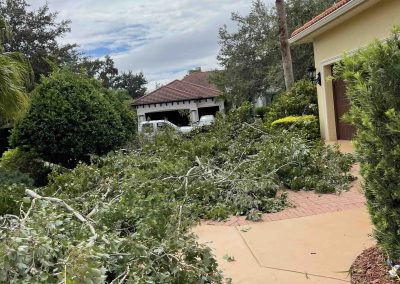 Fallen branches blocking a driveway after a storm, with a house and cloudy sky in the background.