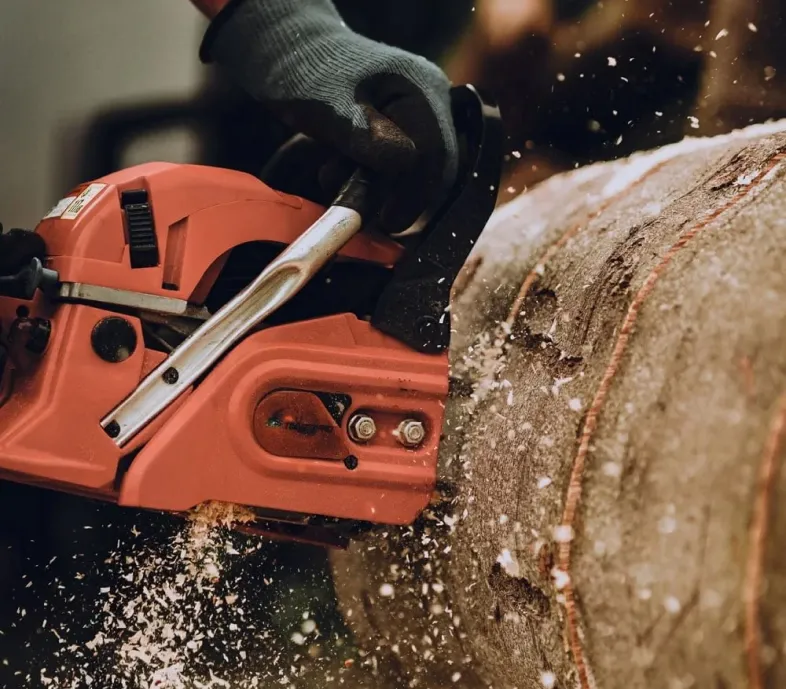 stump-1 A person uses a red chainsaw to cut through a thick log, with wood chips flying.