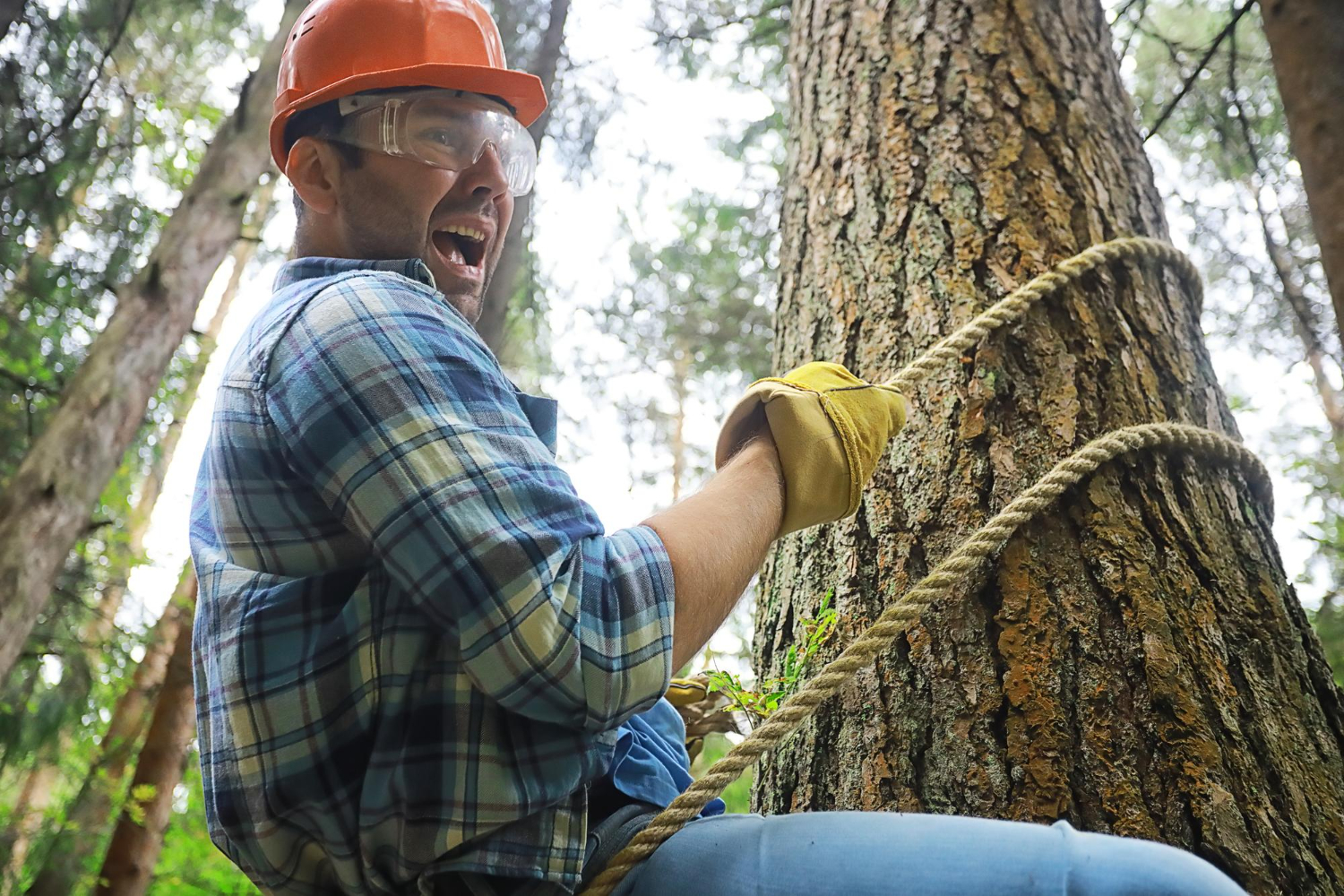 Man in safety gear pulling rope around a tree in a forest, looking determined and focused.